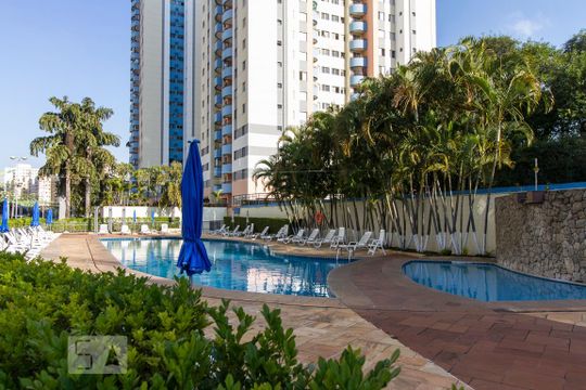 Area das Piscinas  de apartamento para alugar com 2 quartos, 67m² em Tatuapé, São Paulo