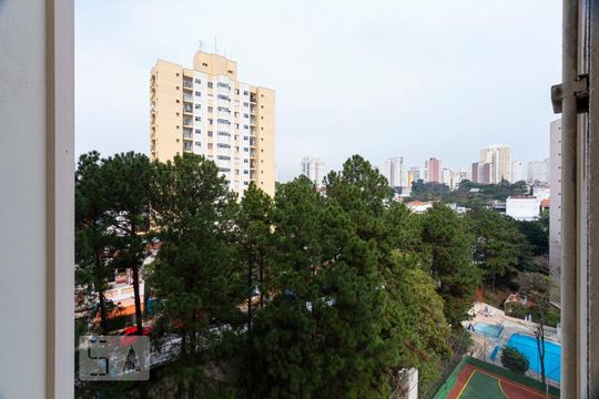 Vista de apartamento para alugar com 2 quartos, 60m² em Vila Paulista, São Paulo