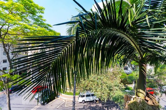 Vista de apartamento para alugar com 3 quartos, 95m² em Vila Guarani (z Sul), São Paulo