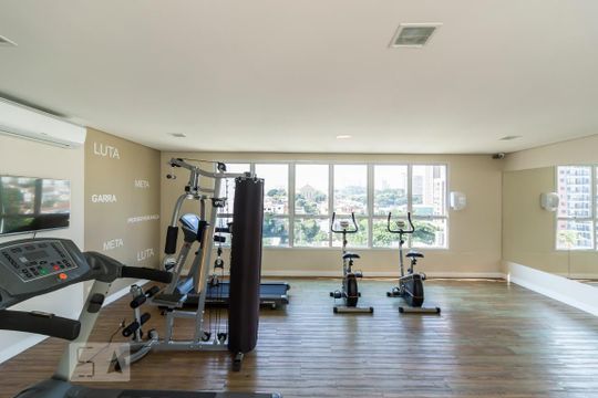 Academia de apartamento para alugar com 2 quartos, 70m² em Vila Ipojuca, São Paulo