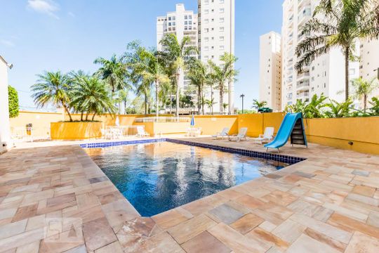 Área Comum - Piscina 2 de apartamento para alugar com 4 quartos, 110m² em Vila Brandina, Campinas