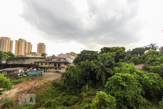 vista lavanderia de apartamento para alugar com 2 quartos, 50m² em Butantã, São Paulo