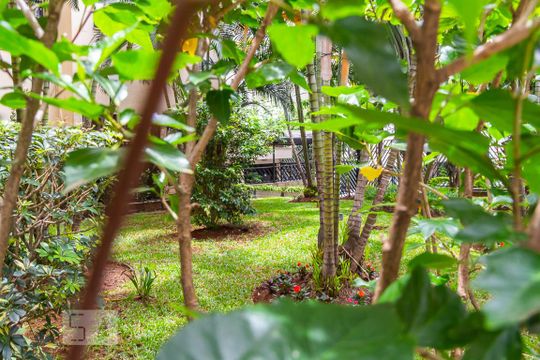 Área Comum de apartamento para alugar com 2 quartos, 51m² em Bosque da Saúde, São Paulo