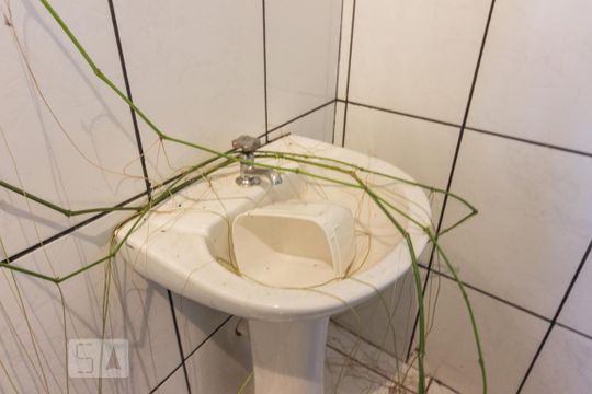 Apartamento para alugar com 1 quarto, 75m² em Vila Dom Pedro Ii, São Paulo