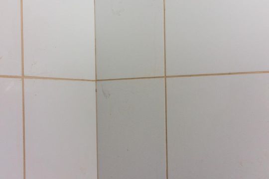 Banheiro de casa de condomínio para alugar com 1 quarto, 31m² em Casa Verde, São Paulo