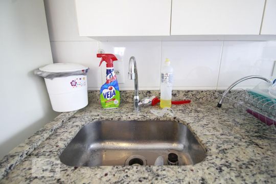 Pia de apartamento para alugar com 2 quartos, 53m² em Vila Gomes, São Paulo