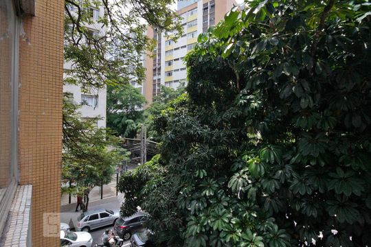 Vista de kitnet/studio para alugar com 1 quarto, 45m² em Higienópolis, São Paulo