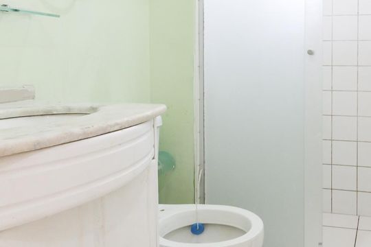 Banheiro de apartamento para alugar com 2 quartos, 47m² em Vila Gustavo, São Paulo