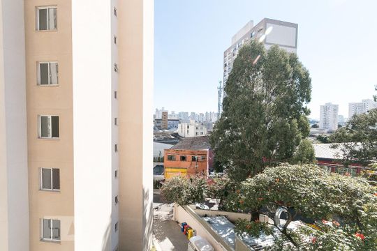 Vista do quarto 1  de apartamento para alugar com 2 quartos, 41m² em Cambuci, São Paulo