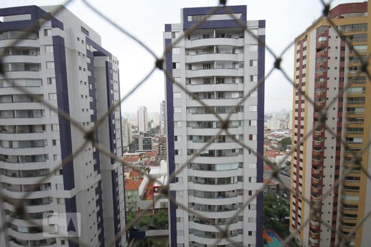 Vista de apartamento para alugar com 3 quartos, 86m² em Cambuci, São Paulo
