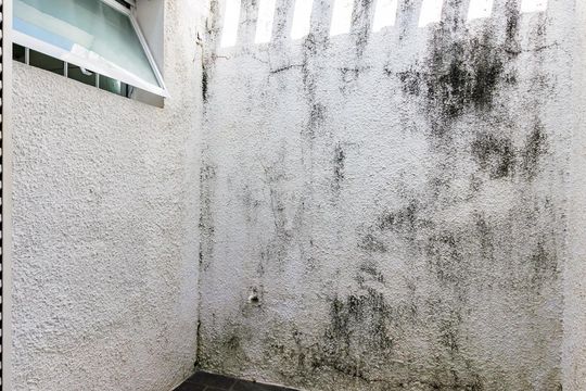 Vista - Área de Respiro de casa à venda com 5 quartos, 320m² em Vila Nogueira, Campinas