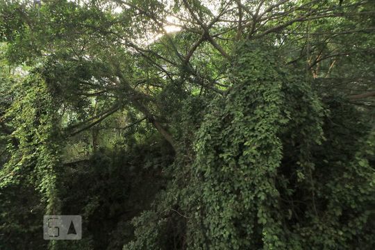 Vista Kitnet. de kitnet/studio à venda com 1 quarto, 25m² em Copacabana, Rio de Janeiro