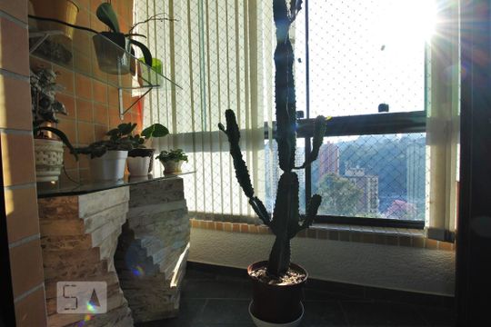 Varanda de apartamento para alugar com 2 quartos, 62m² em Vila Andrade, São Paulo