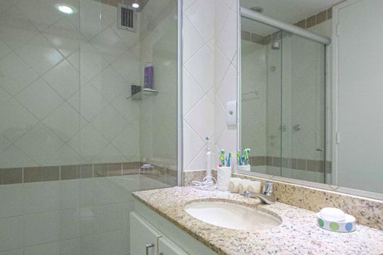 Banheiro de apartamento para alugar com 2 quartos, 68m² em Praça da Bandeira, Rio de Janeiro