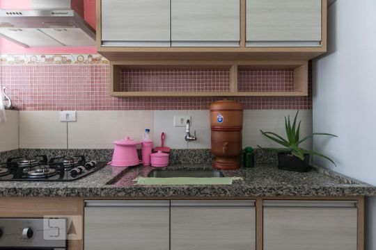 Cozinha (Pia) de apartamento para alugar com 2 quartos, 72m² em Aclimação, São Paulo