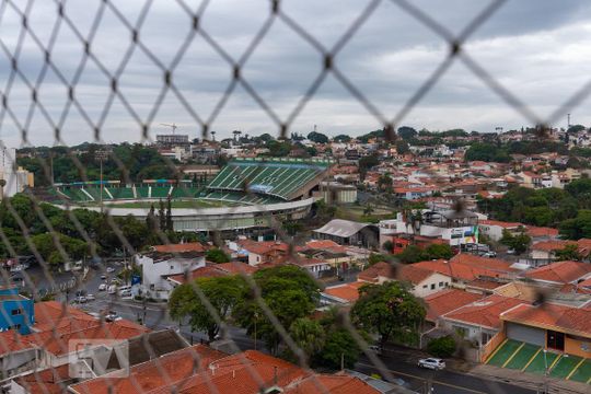 Vista da Sala de apartamento à venda com 3 quartos, 80m² em Jardim Proença, Campinas