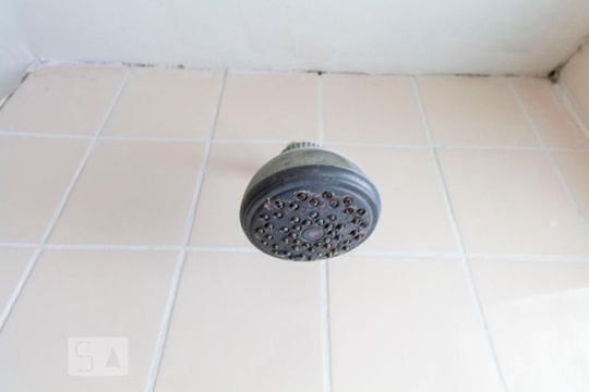 Banheiro Social de apartamento para alugar com 3 quartos, 67m² em Jardim Oriental, São Paulo