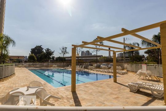 Área comum - Piscina de apartamento para alugar com 3 quartos, 55m² em Vila Venditti, Guarulhos