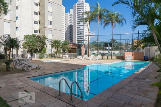Área comum - Piscina de apartamento à venda com 3 quartos, 65m² em Cambuci, São Paulo