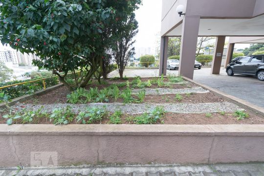 Horta  de apartamento à venda com 2 quartos, 55m² em Vila Constança, São Paulo