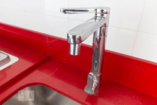 Cozinha de apartamento para alugar com 2 quartos, 53m² em Vila Santa Catarina, São Paulo