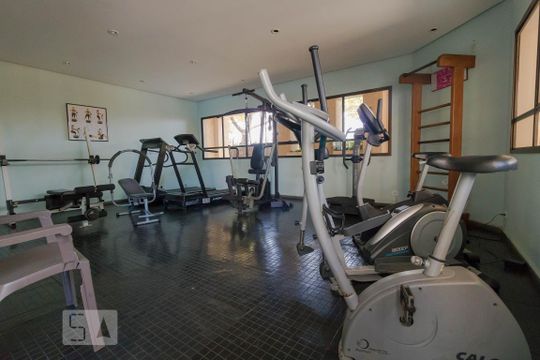 Área comum - Academia de apartamento para alugar com 3 quartos, 116m² em Jardim das Paineiras, Campinas