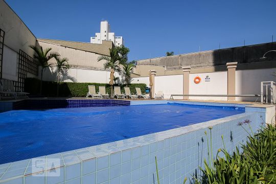 Área comum - Piscina de apartamento para alugar com 2 quartos, 85m² em Jardim Flamboyant, Campinas