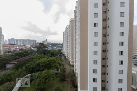 Vista Quarto 2 de apartamento para alugar com 3 quartos, 63m² em Vila Moreira, São Paulo