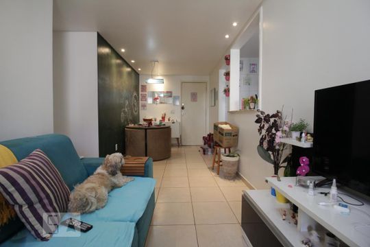 Apartamento à venda com 3 quartos, 76m² em Paraisópolis, São Paulo