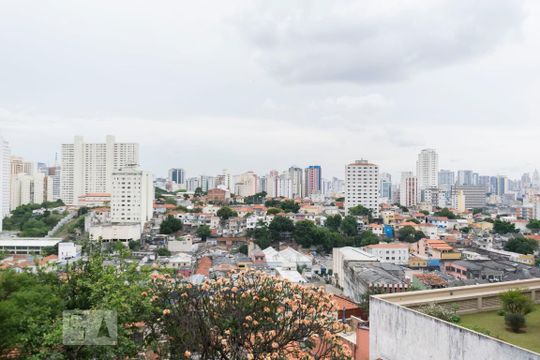 Vista de apartamento à venda com 3 quartos, 80m² em Cambuci, São Paulo