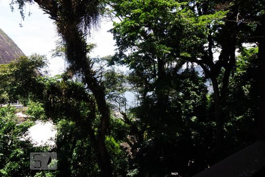 Vista externa da varanda do 3º pavimento de casa à venda com 4 quartos, 250m² em Lagoa, Rio de Janeiro