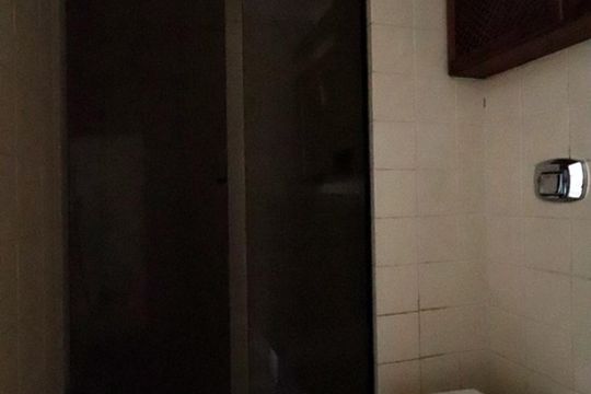 Banheiro de apartamento para alugar com 2 quartos, 90m² em Barra da Tijuca, Rio de Janeiro