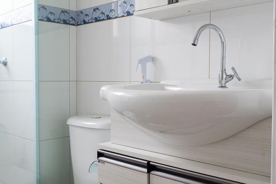 Banheiro de apartamento para alugar com 2 quartos, 60m² em Sítio do Mandaqui, São Paulo