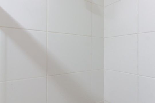 Banheiro Chuveiro de apartamento para alugar com 2 quartos, 60m² em Bom Retiro, São Paulo