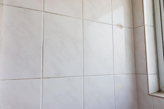 Banheiro de apartamento para alugar com 2 quartos, 52m² em Jardim Vila Galvão, Guarulhos