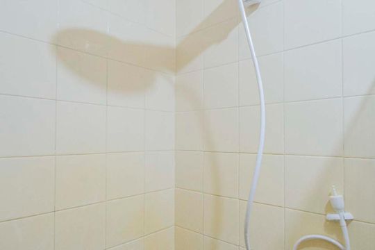 Banheiro de apartamento para alugar com 2 quartos, 60m² em Grajaú, Rio de Janeiro