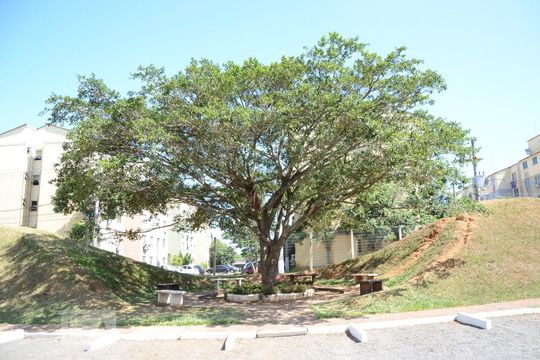 Apartamento à venda com 2 quartos, 40m² em Olaria, Canoas