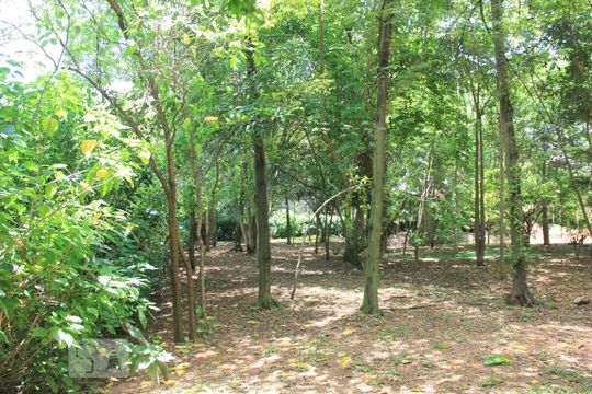 Área verde de apartamento para alugar com 2 quartos, 55m² em Vila Campos Sales, Jundiaí