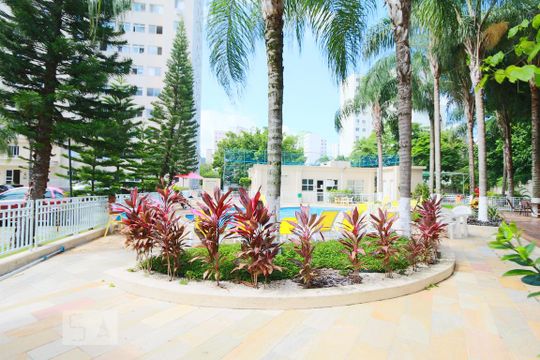 Área comum - Piscina de apartamento para alugar com 2 quartos, 47m² em Jacarepaguá, Rio de Janeiro