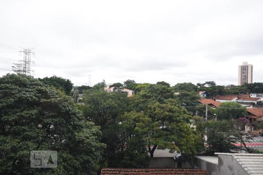 Apartamento para alugar com 2 quartos, 53m² em Super Quadra Morumbi, São Paulo
