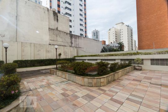 Área Externa de apartamento para alugar com 1 quarto, 80m² em Vila Mascote, São Paulo