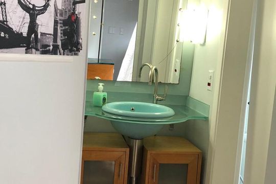 Apartamento para alugar com 1 quarto, 33m² em Vila Suzana, São Paulo