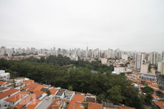 Vista de apartamento à venda com 3 quartos, 296m² em Cambuci, São Paulo