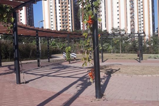 Apartamento à venda com 2 quartos, 45m² em Jardim Iris, São Paulo