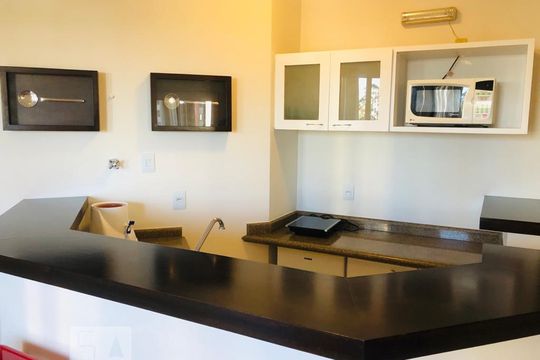 Cozinha de apartamento para alugar com 1 quarto, 40m² em Jardim Ampliação, São Paulo