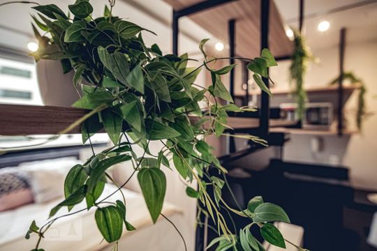 Detalhe de kitnet/studio para alugar com 1 quarto, 30m² em Vila Olímpia, São Paulo