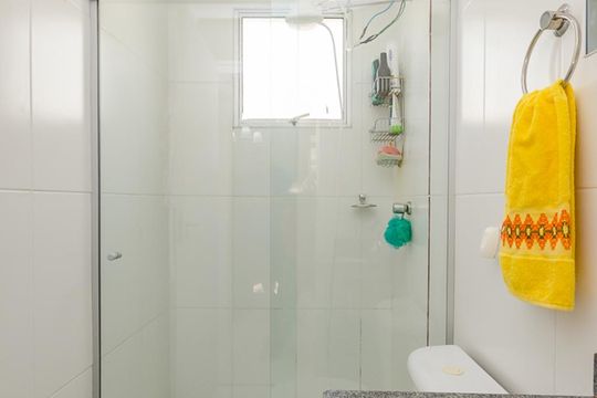 Banheiro Social de apartamento para alugar com 2 quartos, 45m² em Cinquentenário, Belo Horizonte