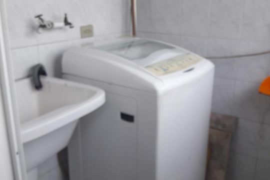 lavanderia de apartamento para alugar com 2 quartos, 65m² em Jardim Paulicéia, Campinas