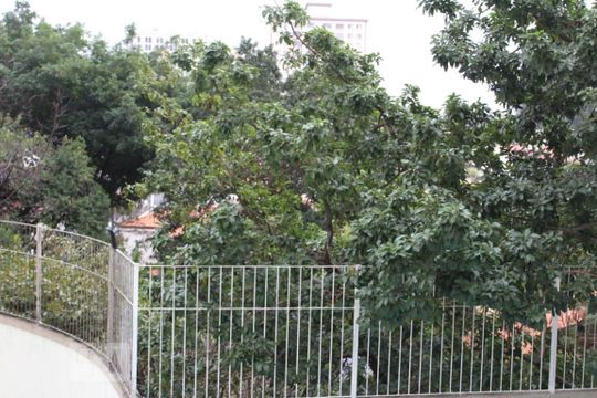 Área comum de apartamento à venda com 2 quartos, 60m² em Jardim Umuarama, São Paulo