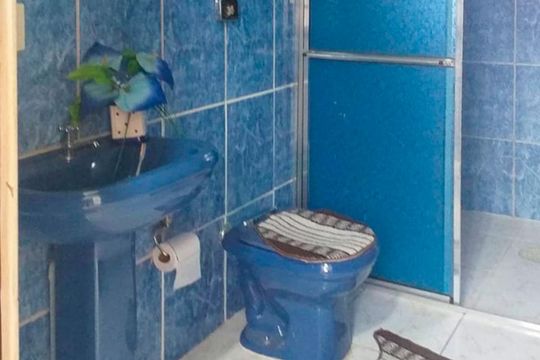 Banheiro de casa para alugar com 4 quartos, 270m² em Parque Boturussu, São Paulo